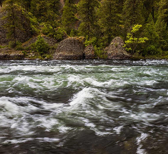 Judith Mayotte speaks at the graduate commencement ceremony on May 11. (GU photo) 